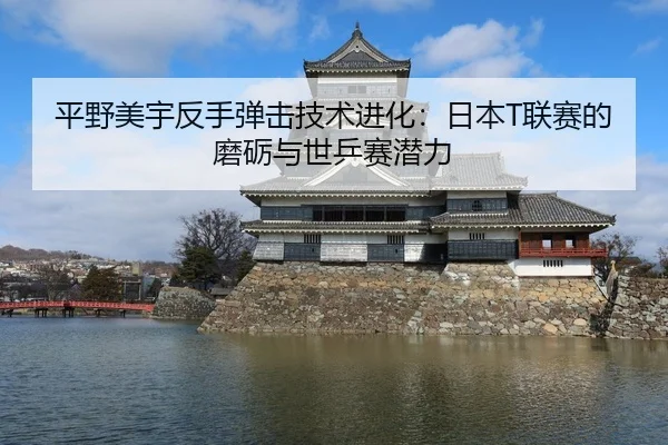 平野美宇反手弹击技术进化：日本T联赛的磨砺与世乒赛潜力