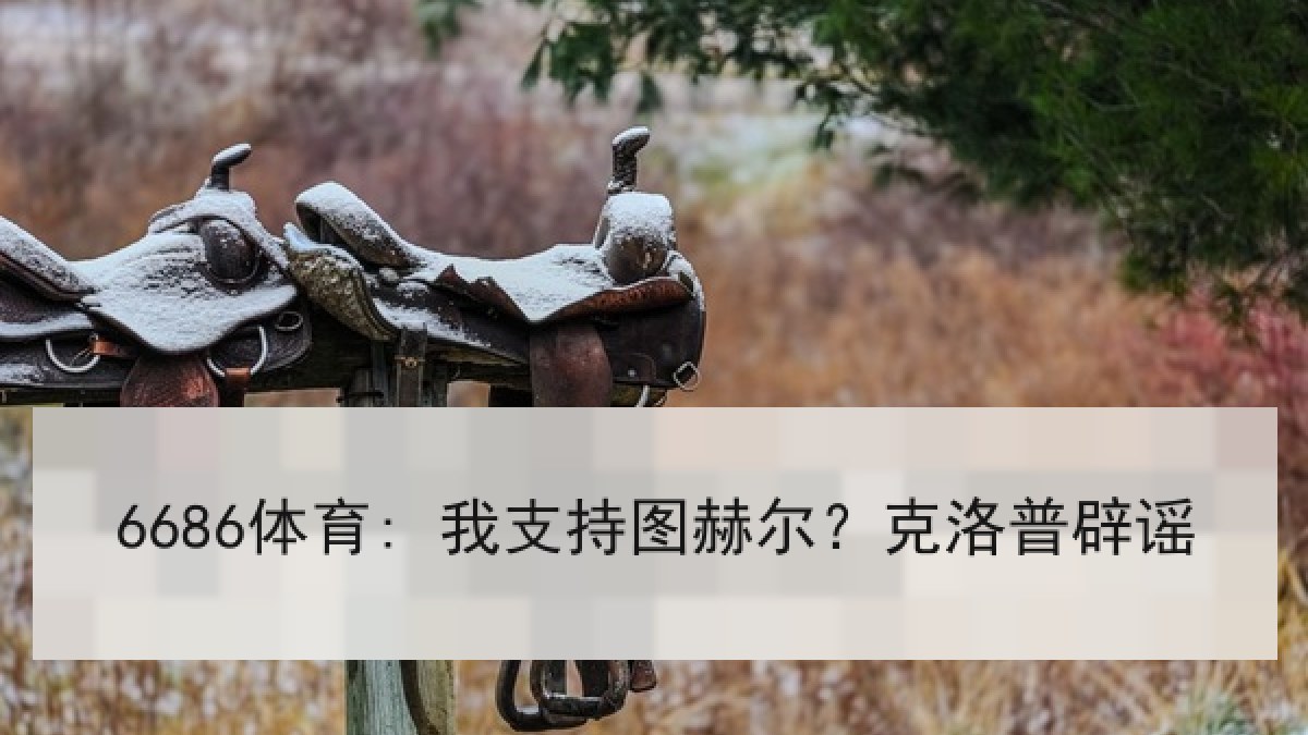 6686体育: 我支持图赫尔？克洛普辟谣